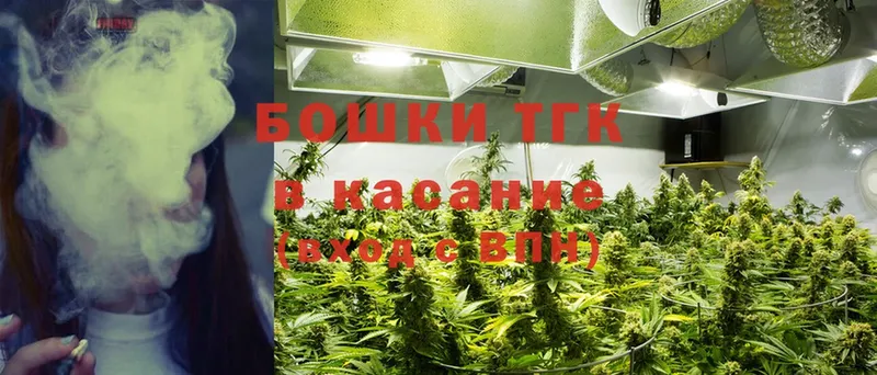 Конопля OG Kush  Саров 